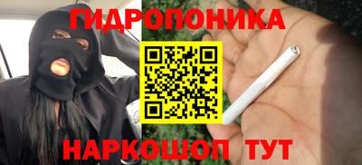 ALPHA PVP Кингисепп