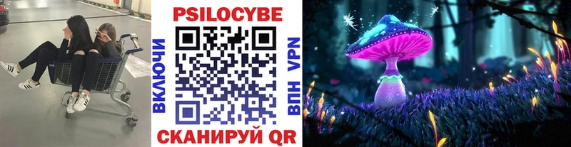 Псилоцибиновые грибы прущие грибы  Тверь 