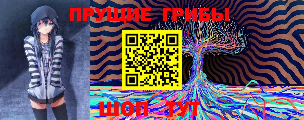 Псилоцибиновые грибы Psilocybine cubensis  Псилоцибиновые грибы GOLDEN TEACHER  Тверь  Вход с VPN 