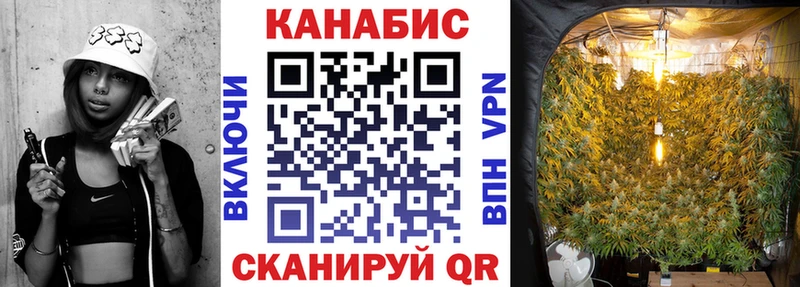 Бошки марихуана Bruce Banner  наркотики  Тверь 
